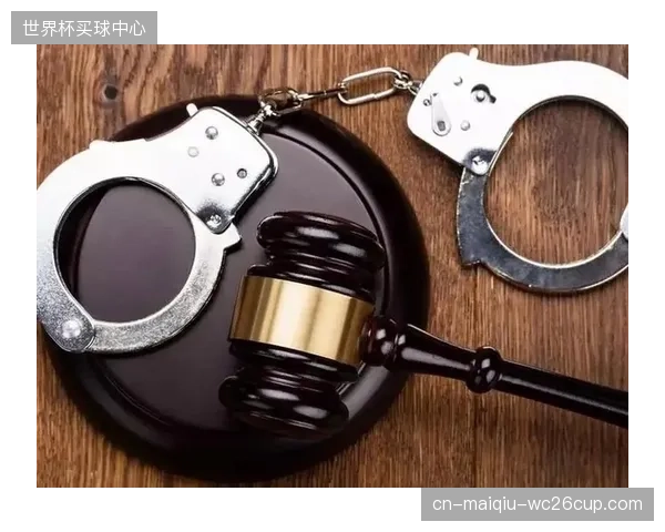 看台声纹拾取阵列精准锁定每一个种族歧视寻衅滋事者